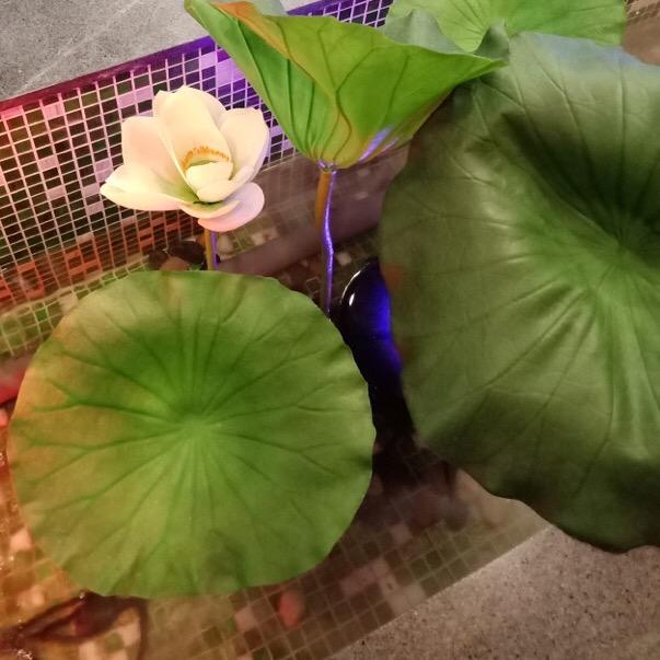 用户4510672759313小雅