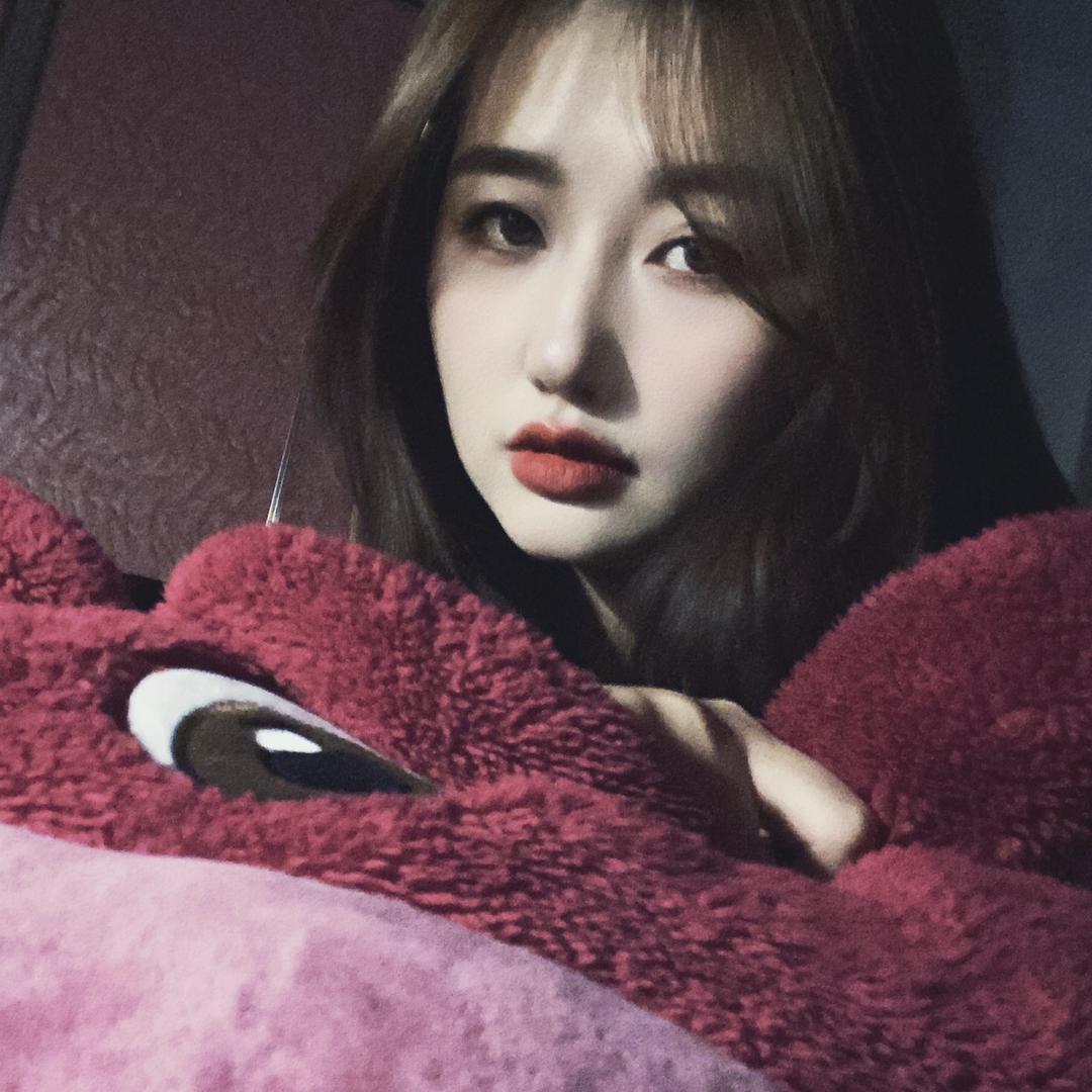 雁雁藏兜里