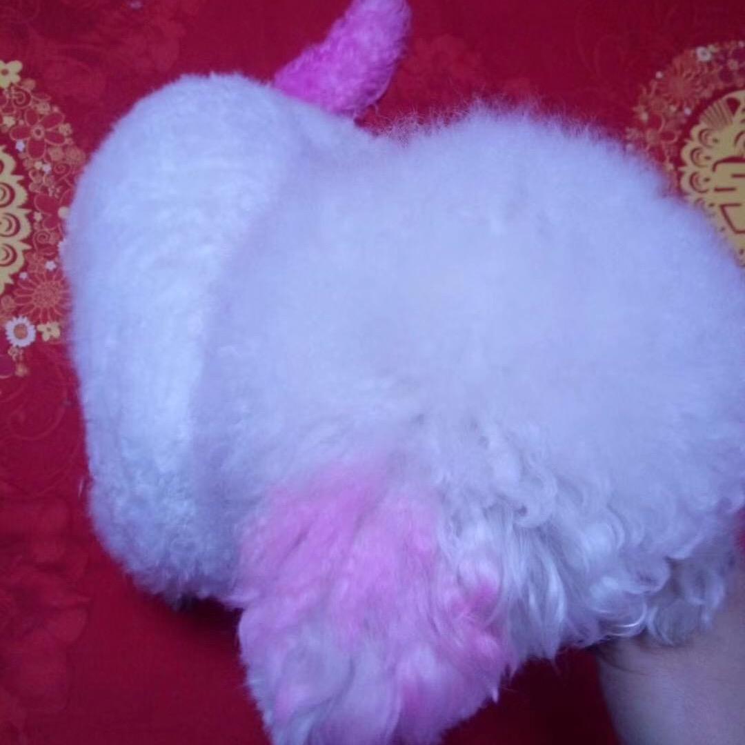 洛克喵🐱