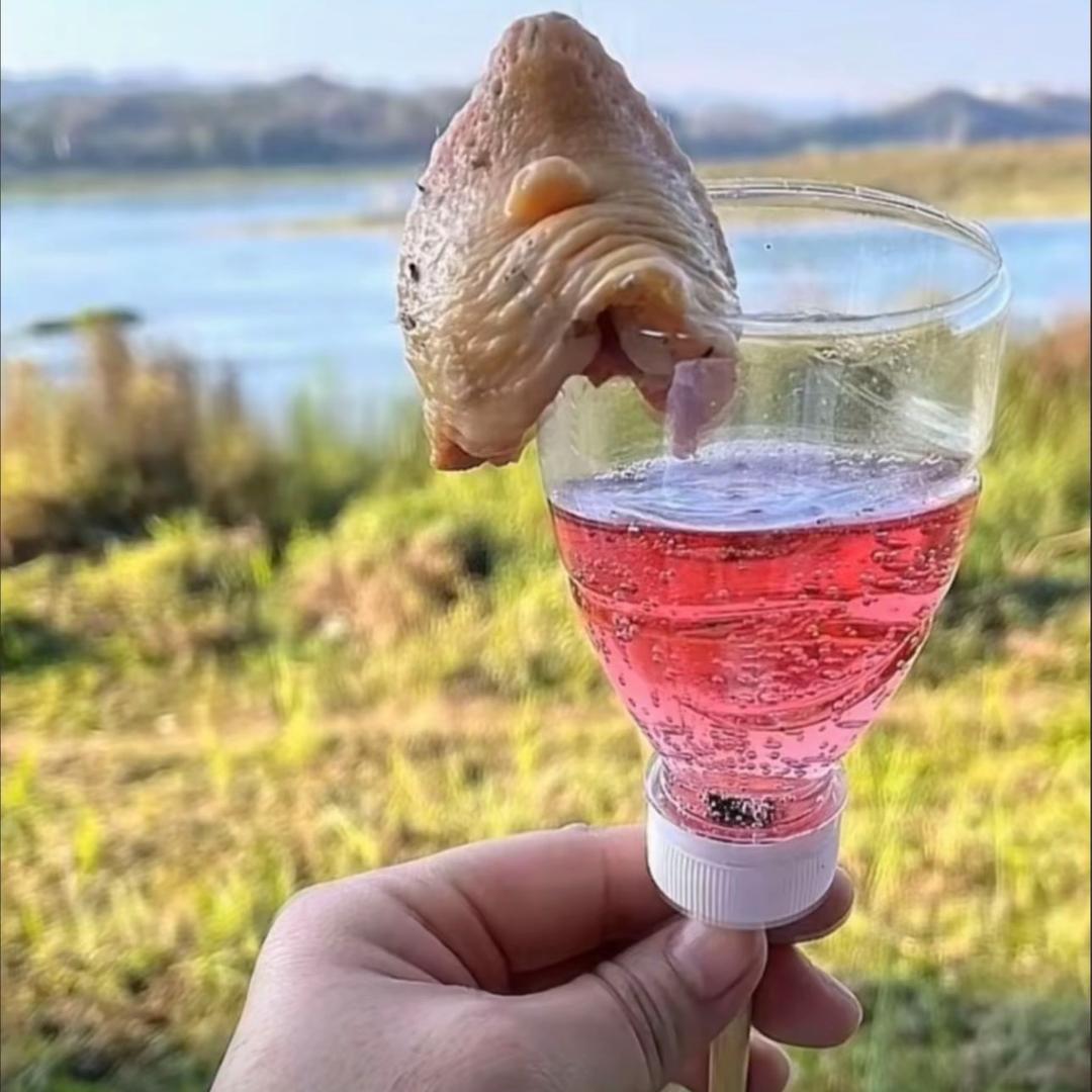 一杯“鸡尾酒”