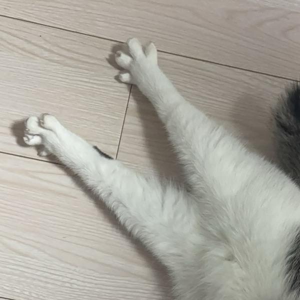 玩铁老翰