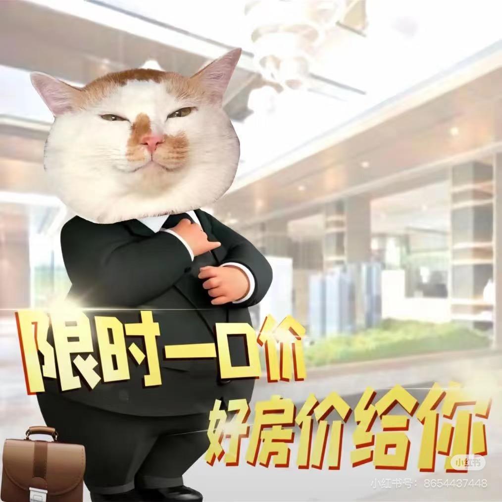 小梁的探房日记