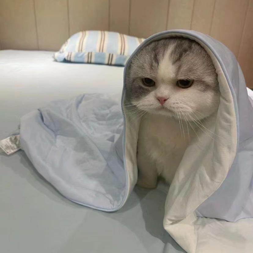 -816