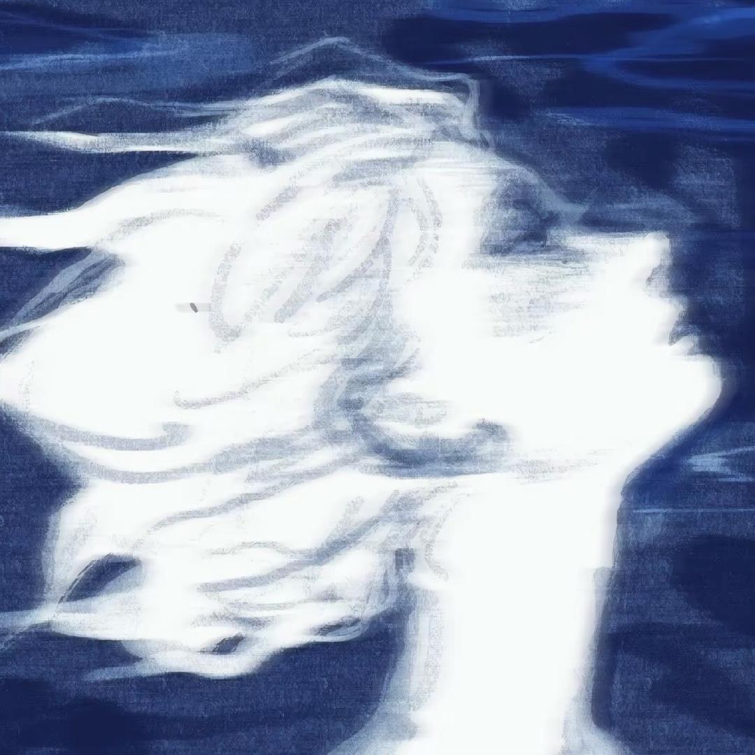 冬青青青