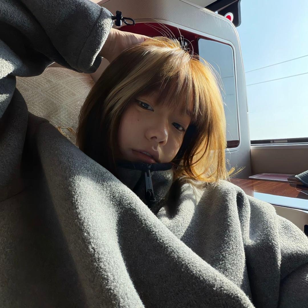 飞飞鱼