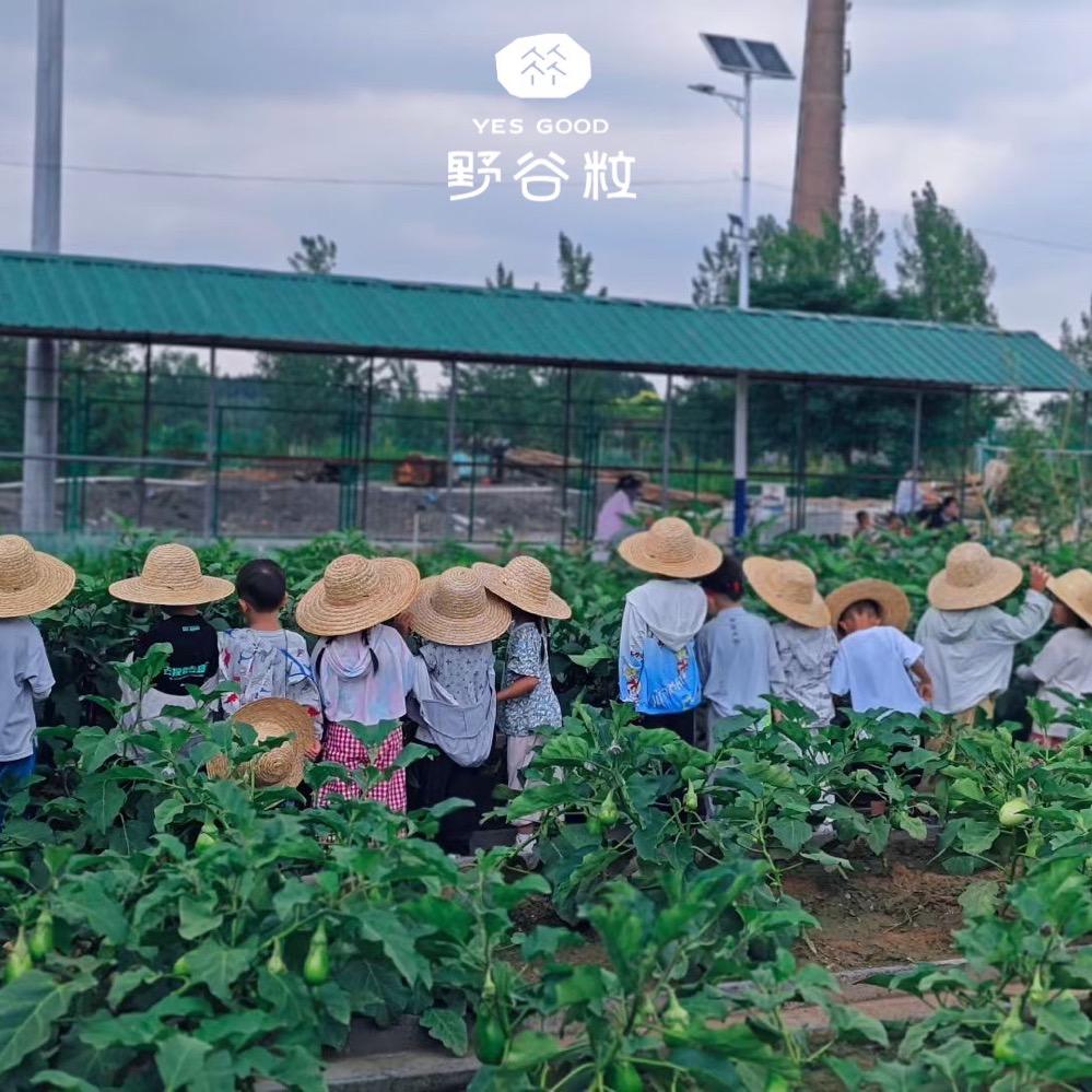 邯郸野谷粒亲子欢乐营