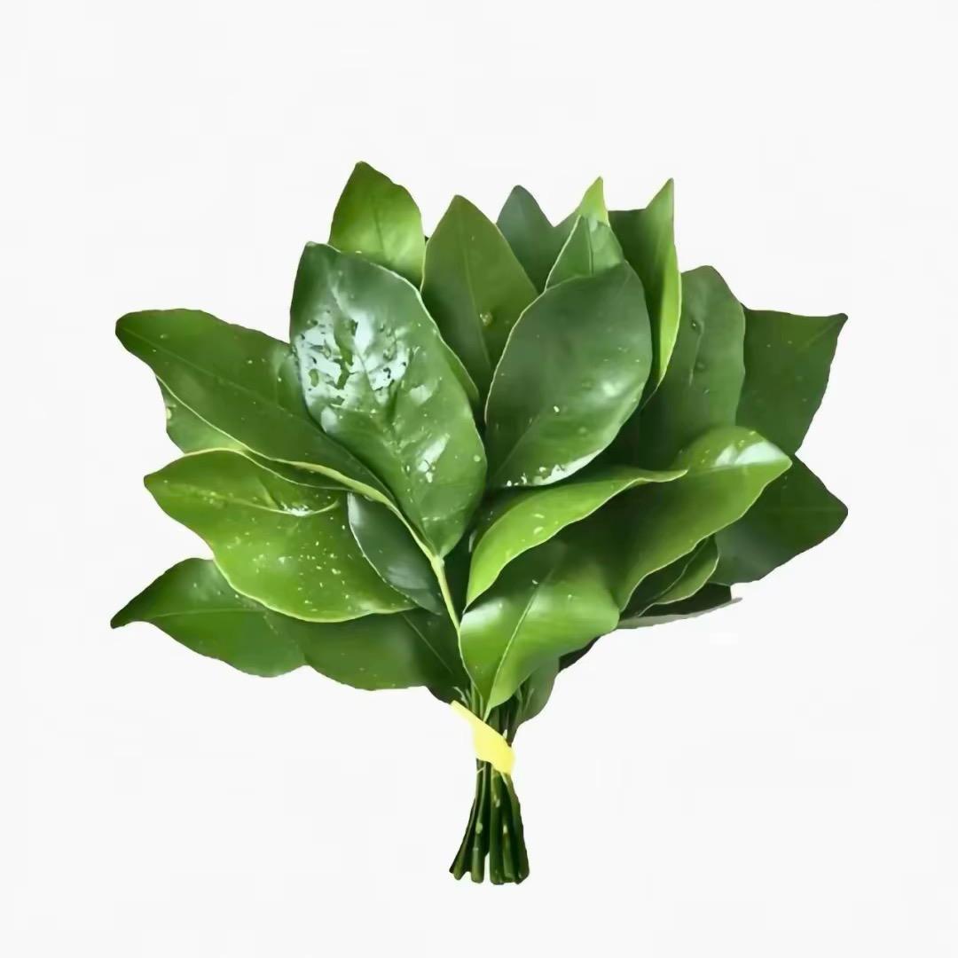 張张張吖