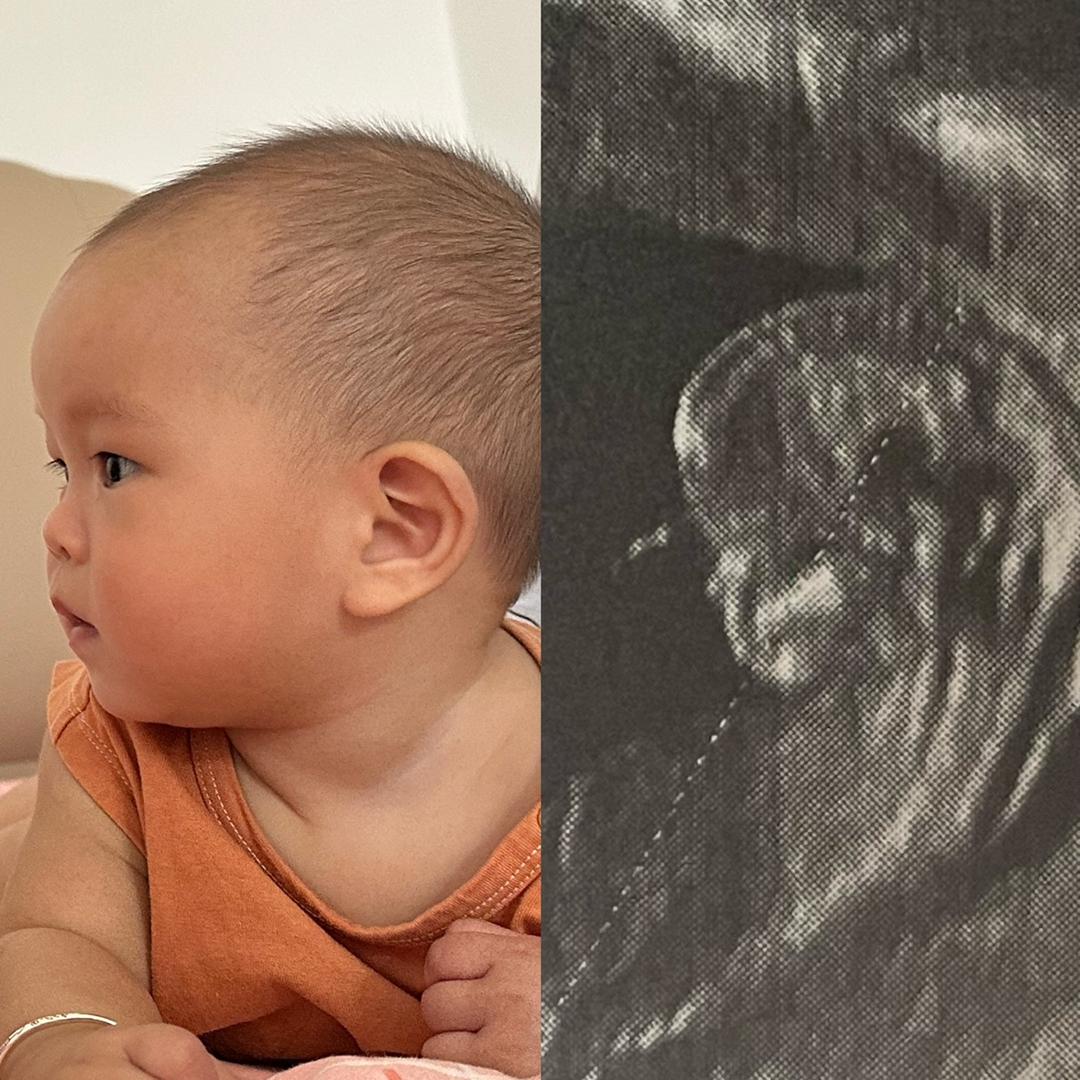 咩咩咩🐑🐑🐑🐑