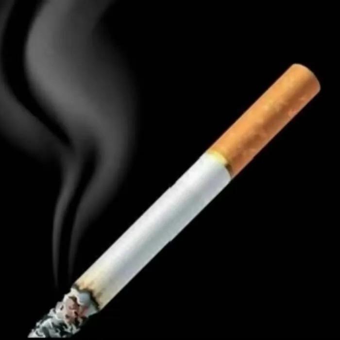 ㅤㅤㅤㅤ梁先森          🪳