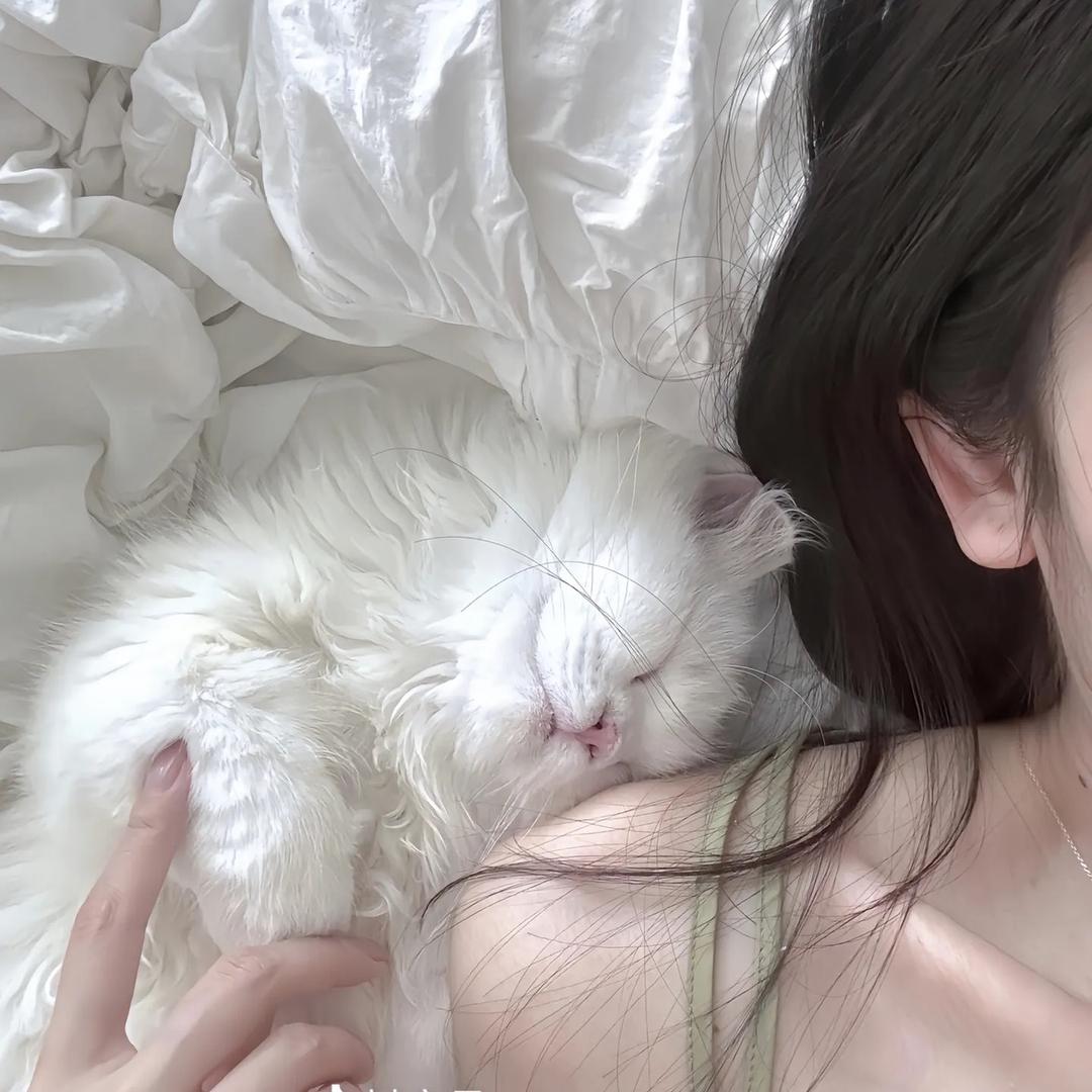 ღ一百万🤪