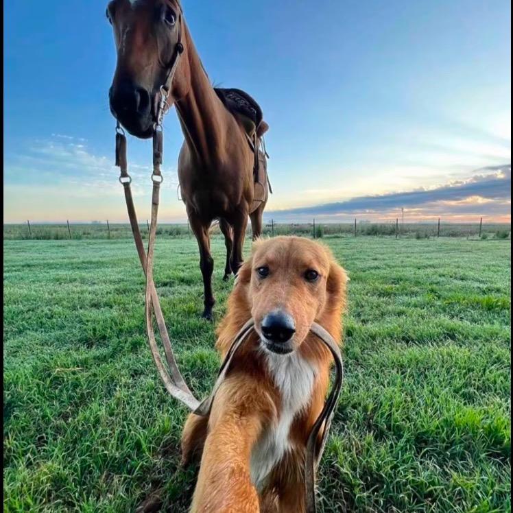 留一份温柔的爱给妈妈