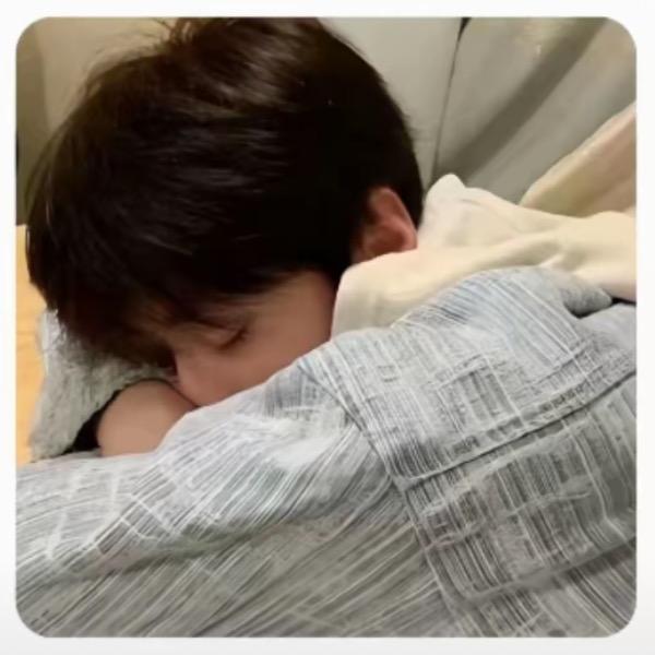 爱睡觉😪
