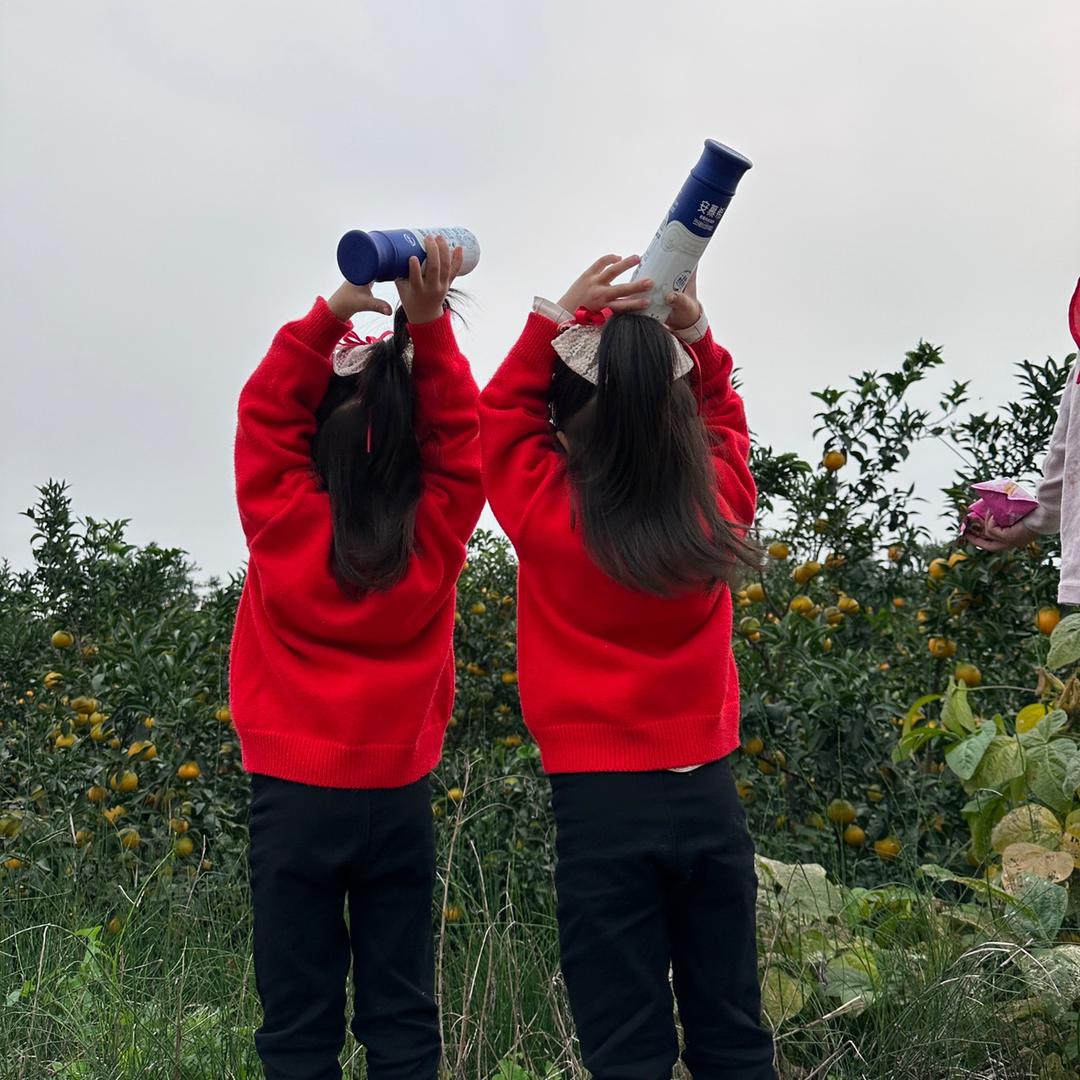 山茶花开在年糕里