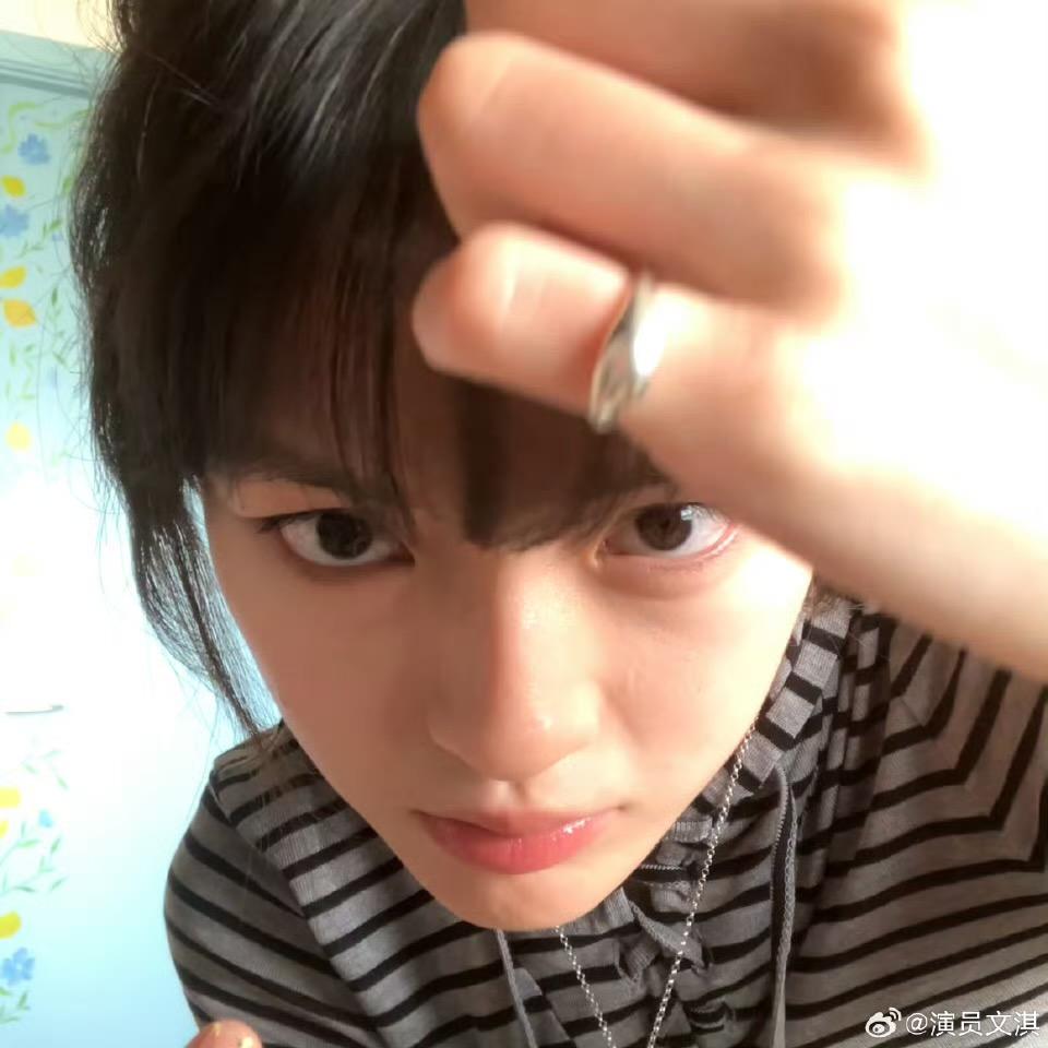 狗宝特攻