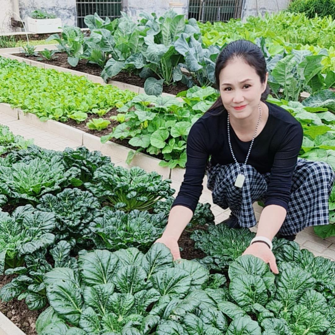 老妈的菜园子（周末农耕记）