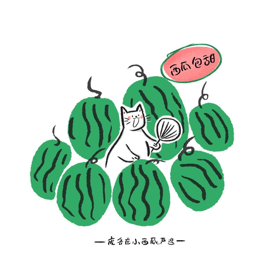 庞各庄阳哥