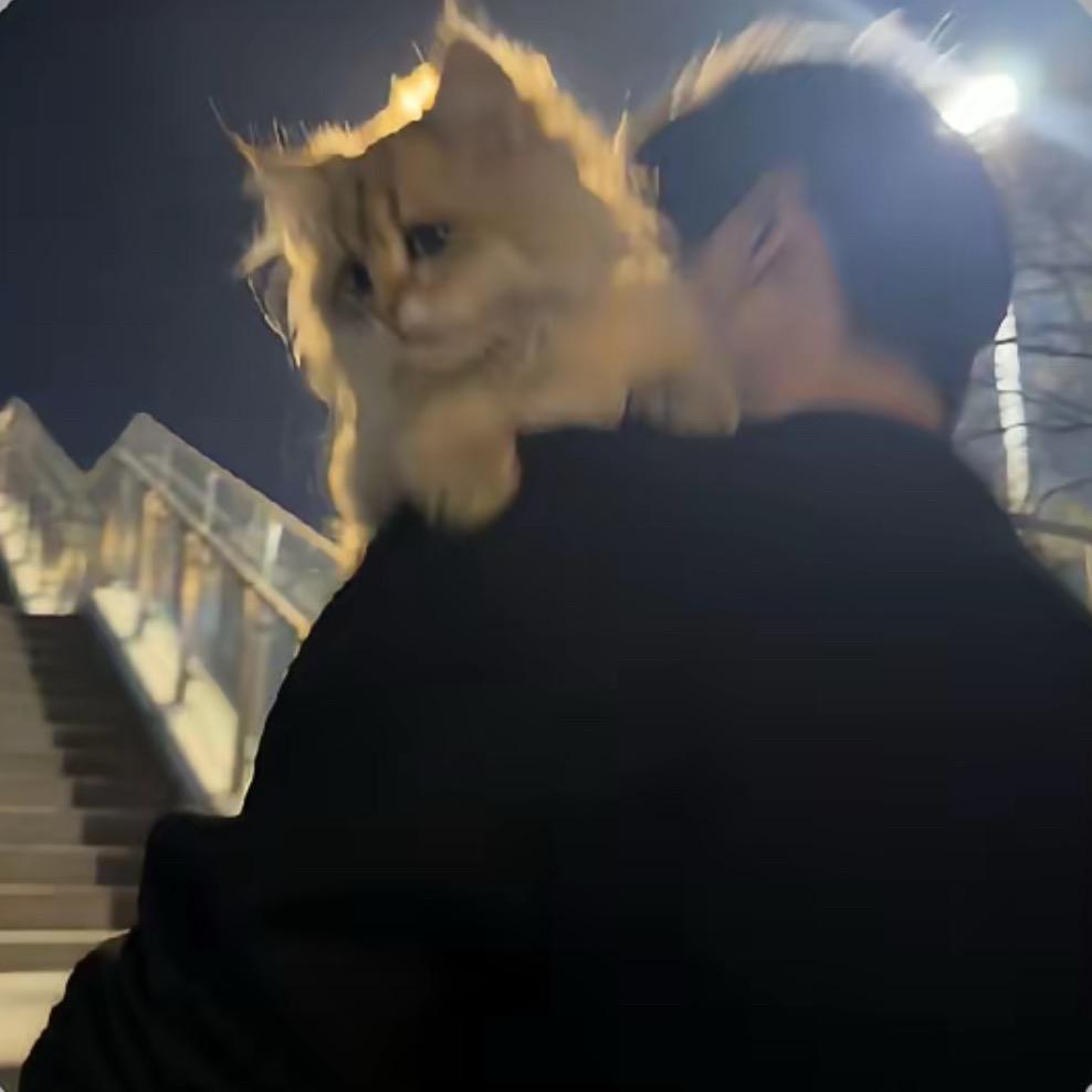 风y