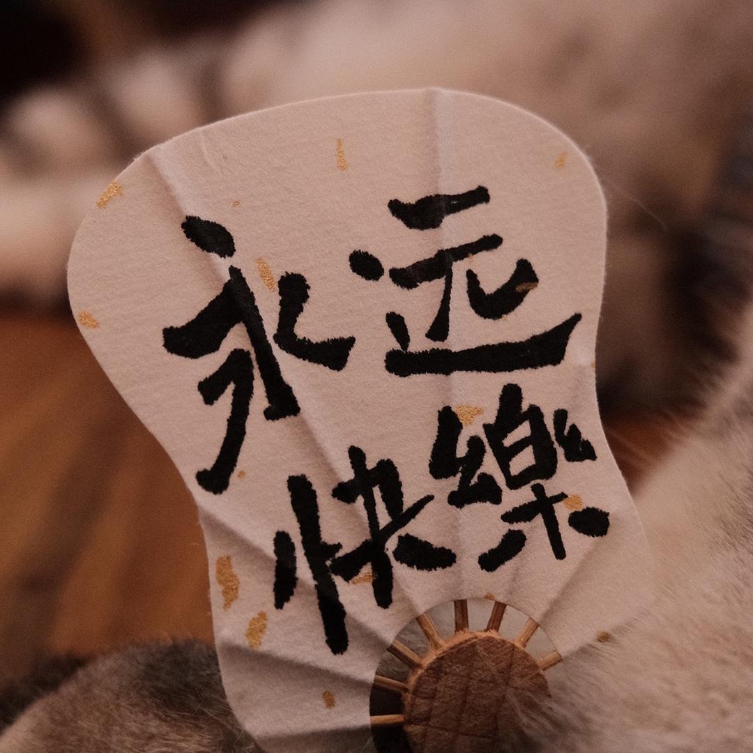 快乐猫