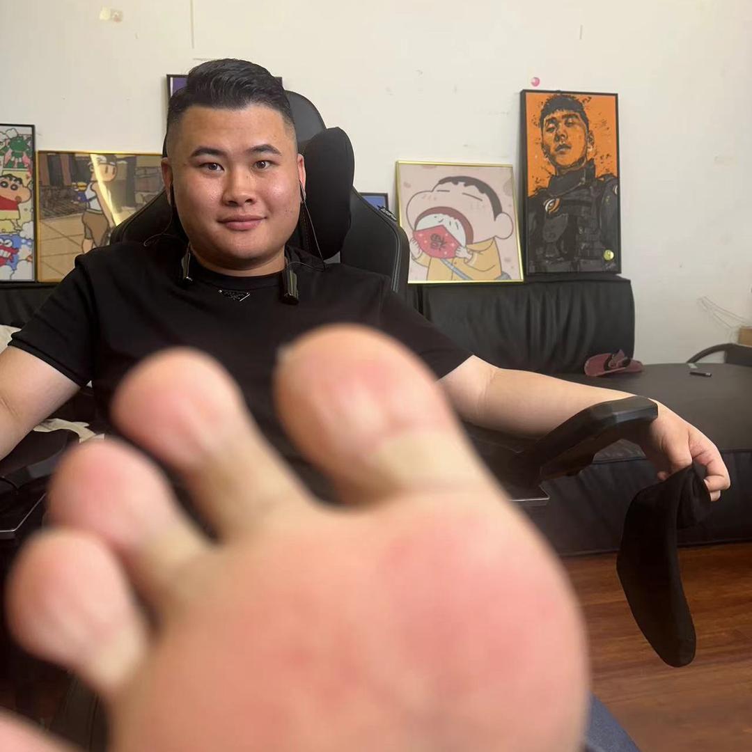 章鱼贼