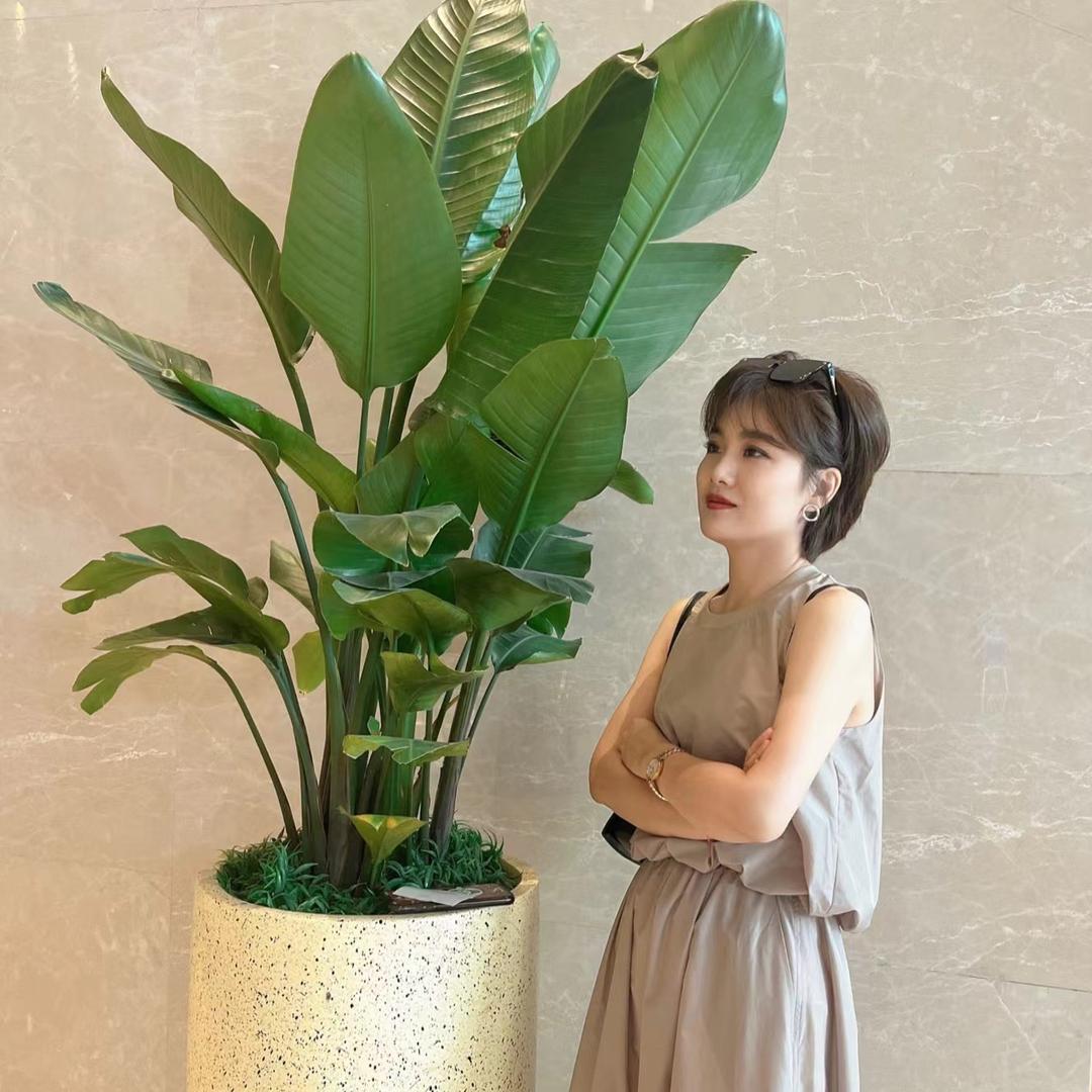 云县丽芳美妆