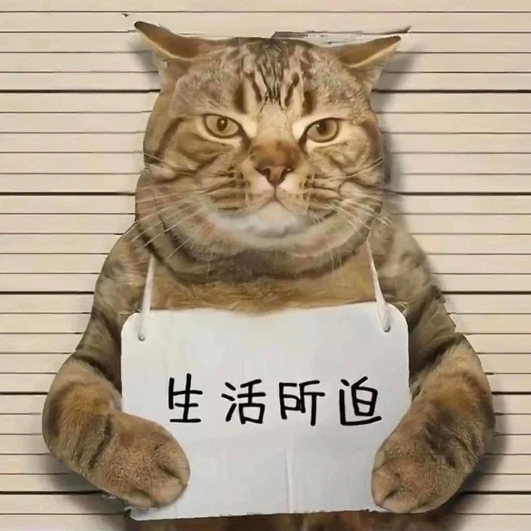 宠爱TA