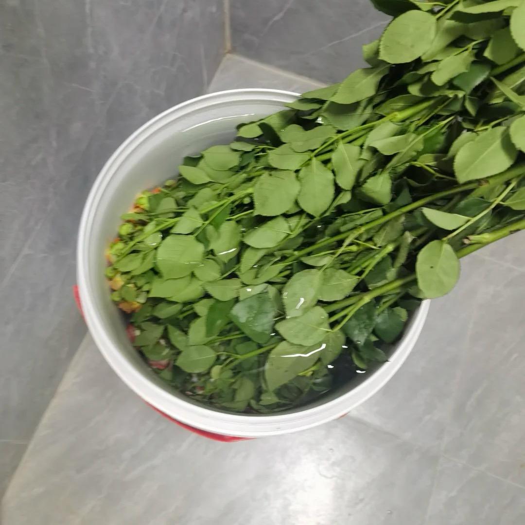 老默篮球直播【赛瑶玛体育】