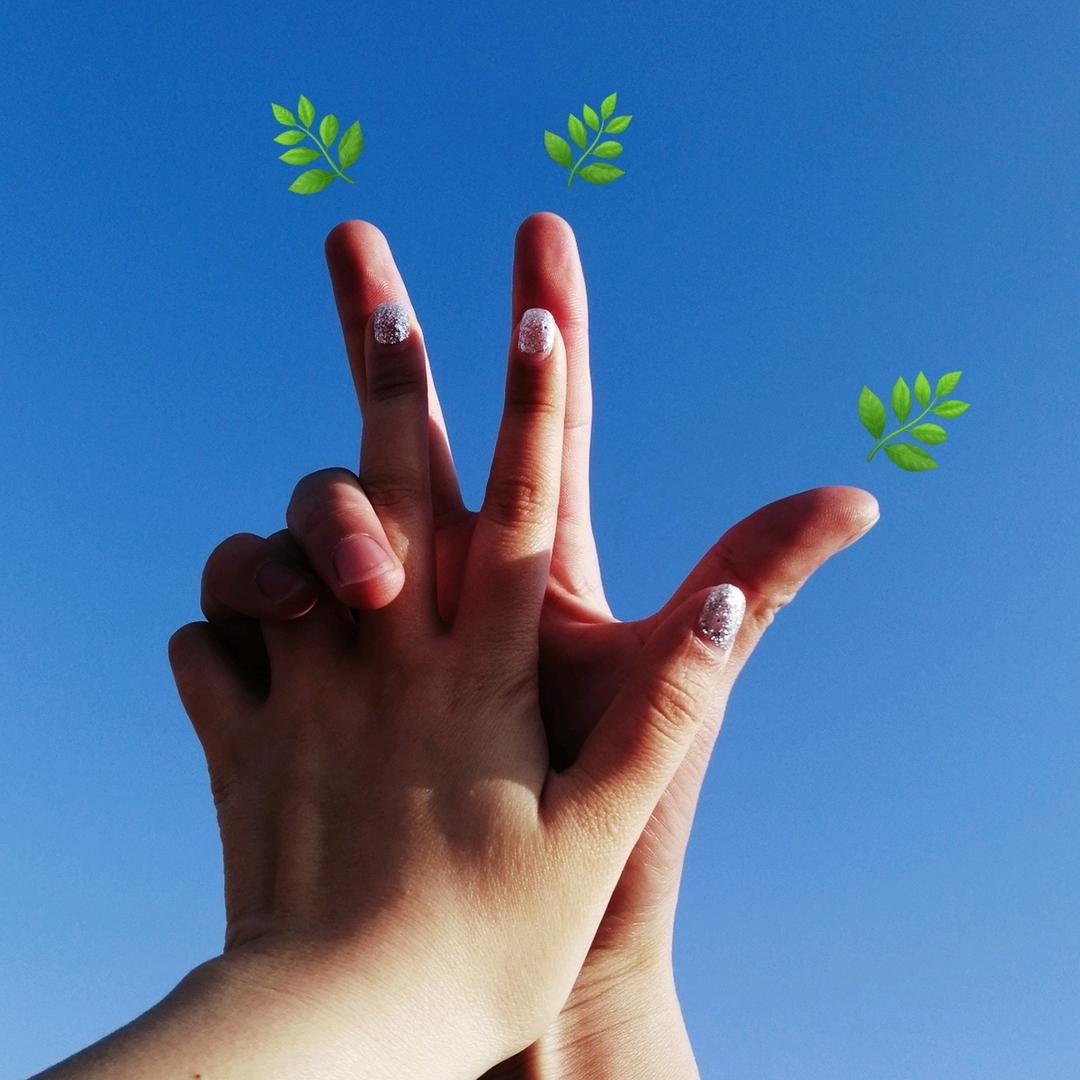 小树苗儿🌱