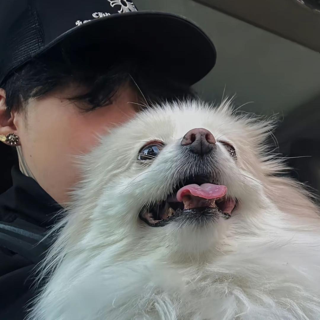 他们都叫我小丫