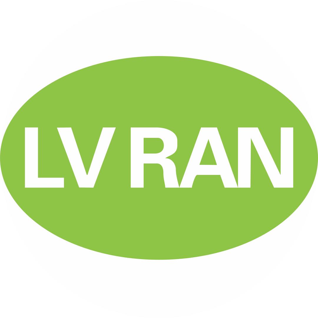 LV RAN家居地垫