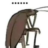 火辣硬汉