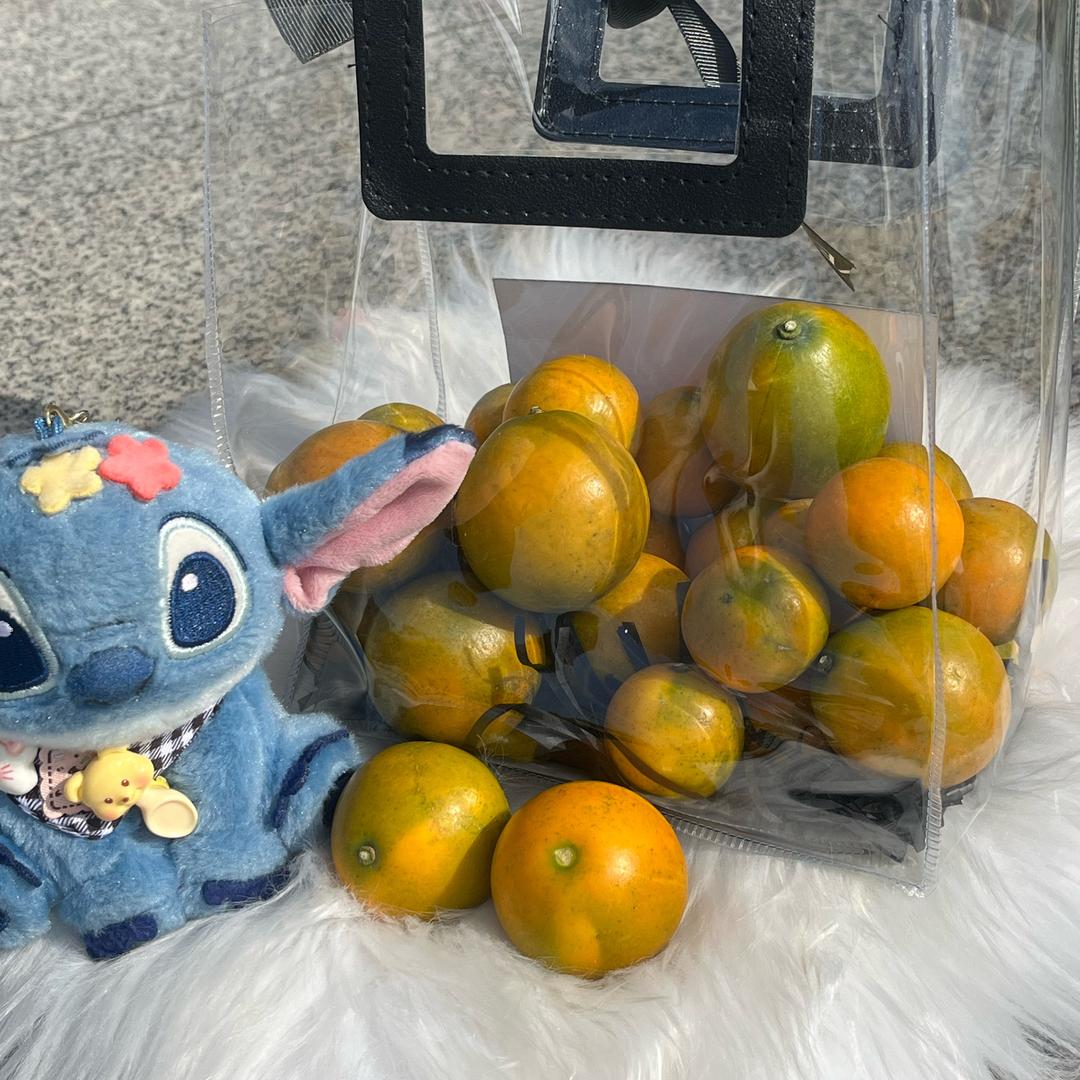 融安脆蜜金桔汇