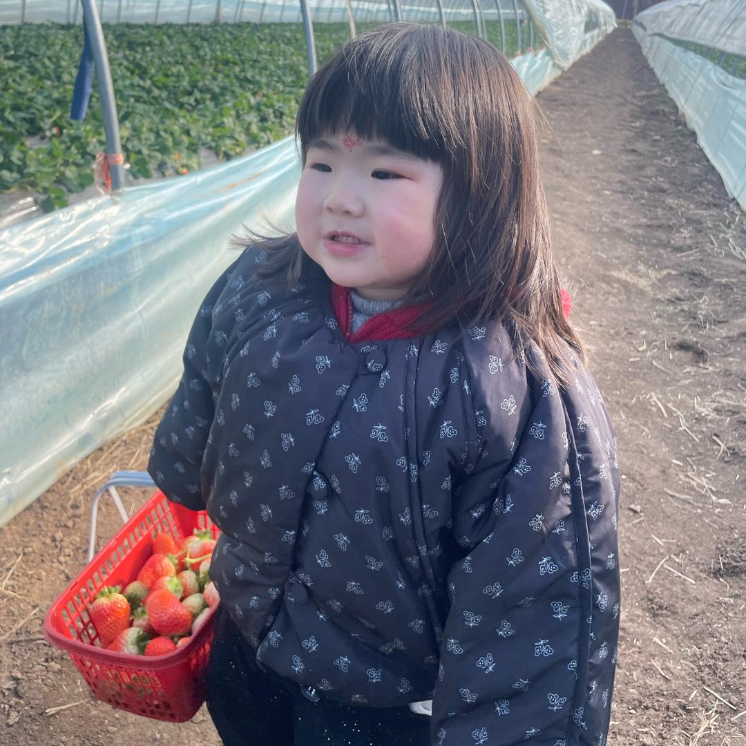 糖豆妈咪爱糖豆🍟