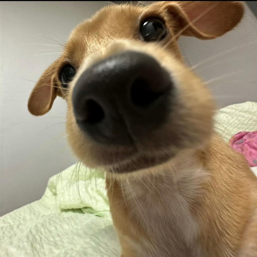 Q_Q