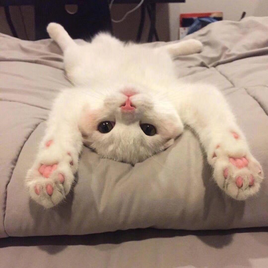 小李睡不醒小游戏推广