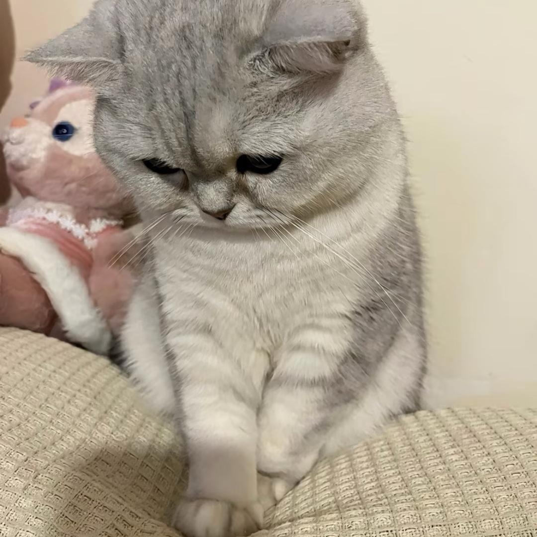 敬请期待