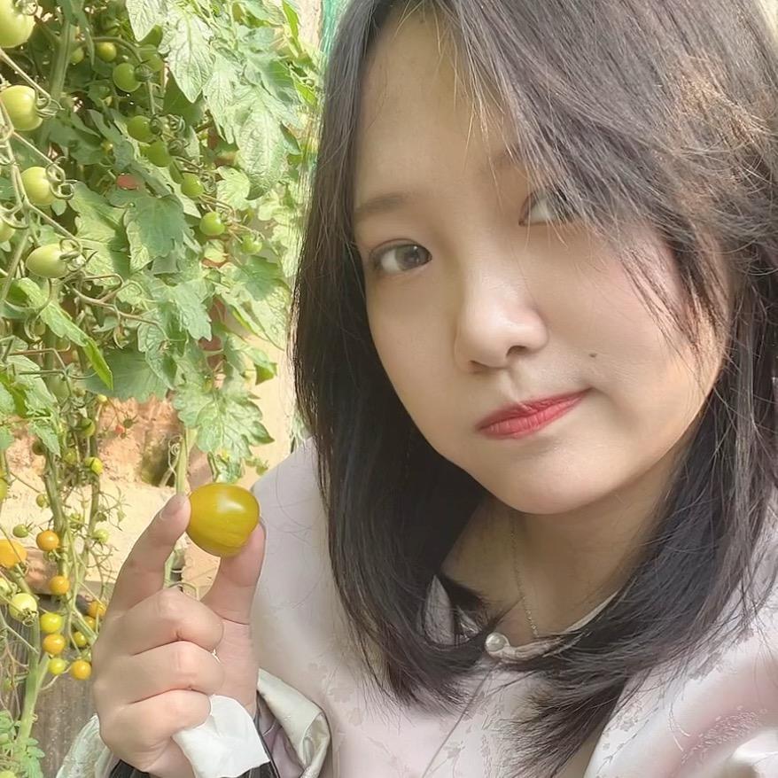 有颗小番茄🍅