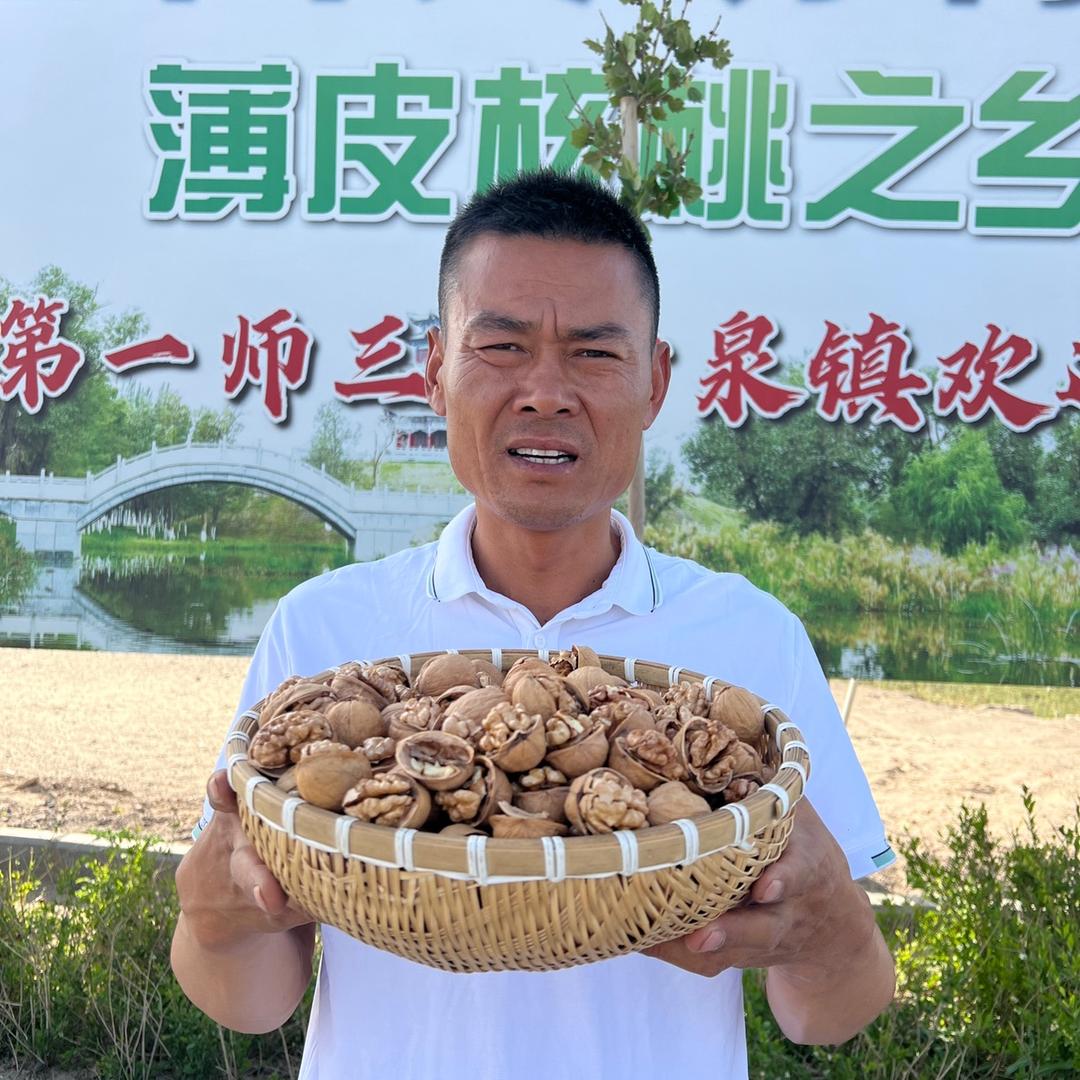 大漠良品新疆特产