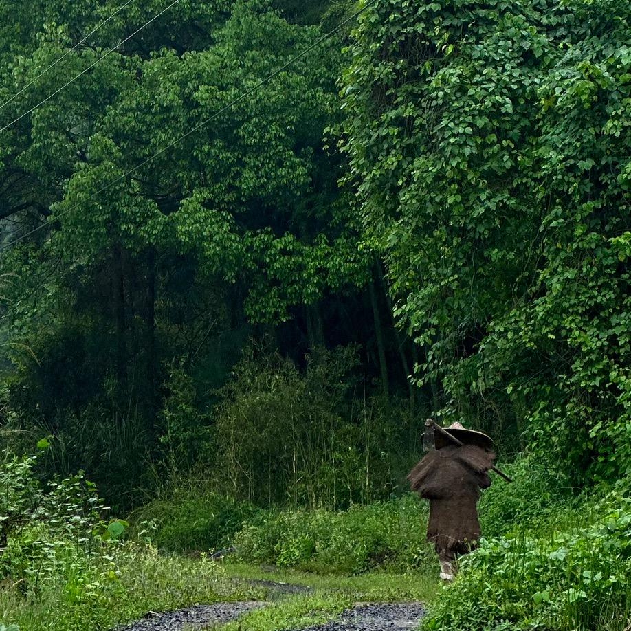 王总不总