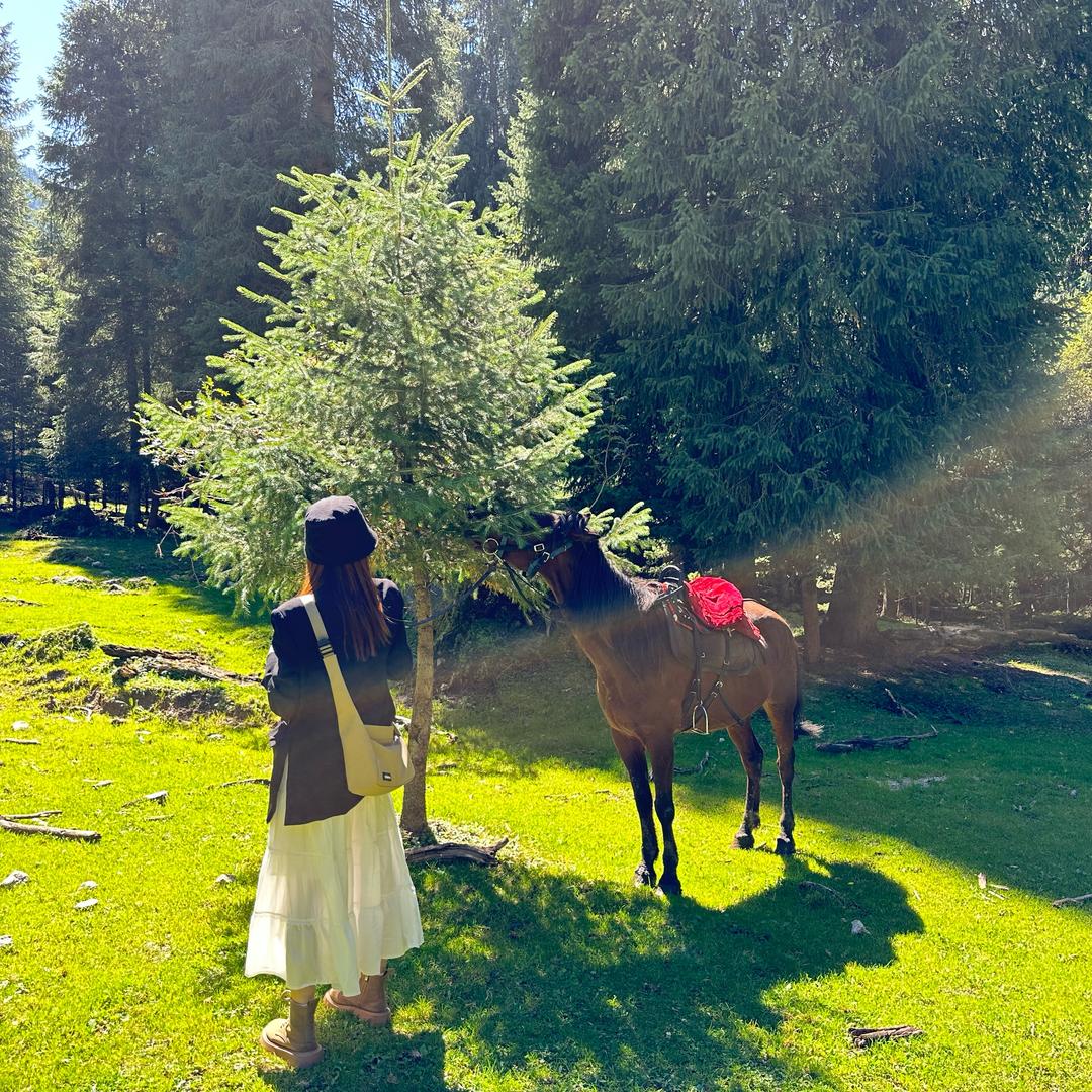 我不叫杨贝贝🐒✔