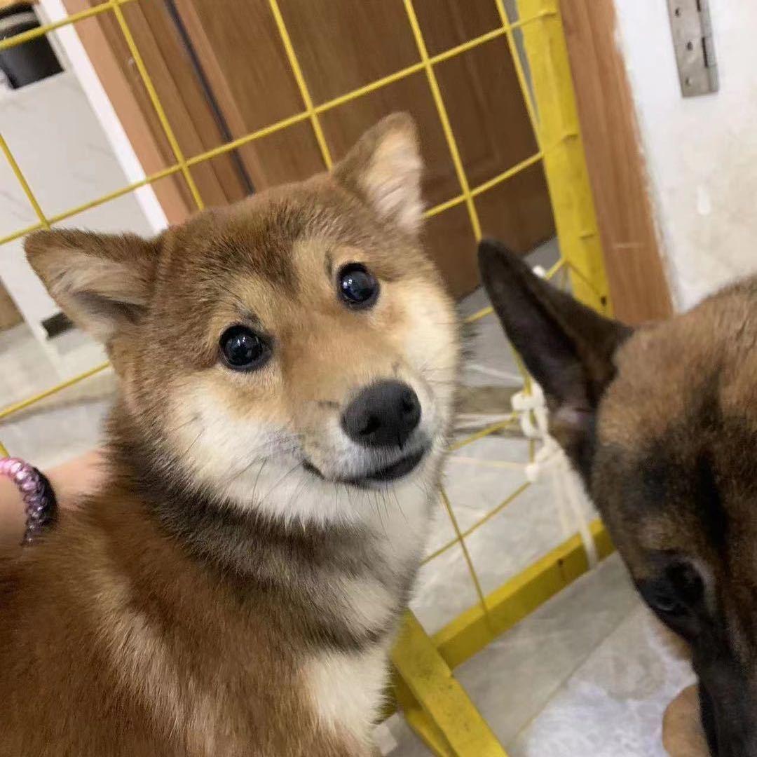 稀粥