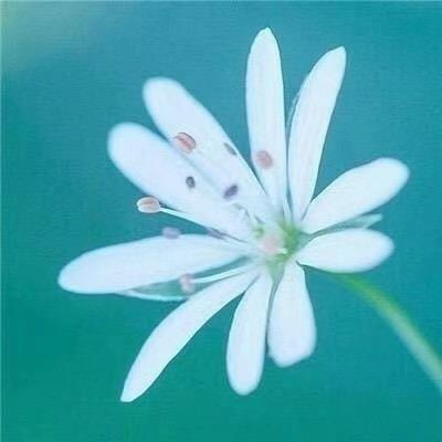 沐光暖阳