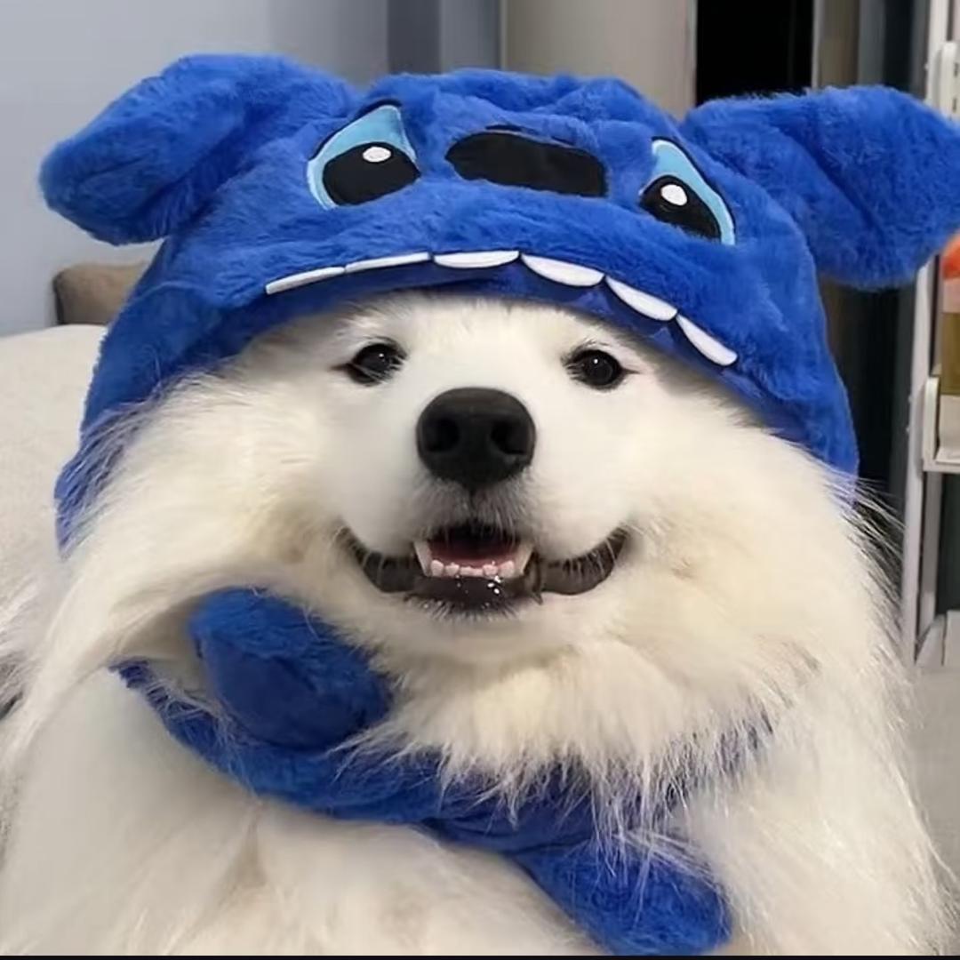 我要困告了