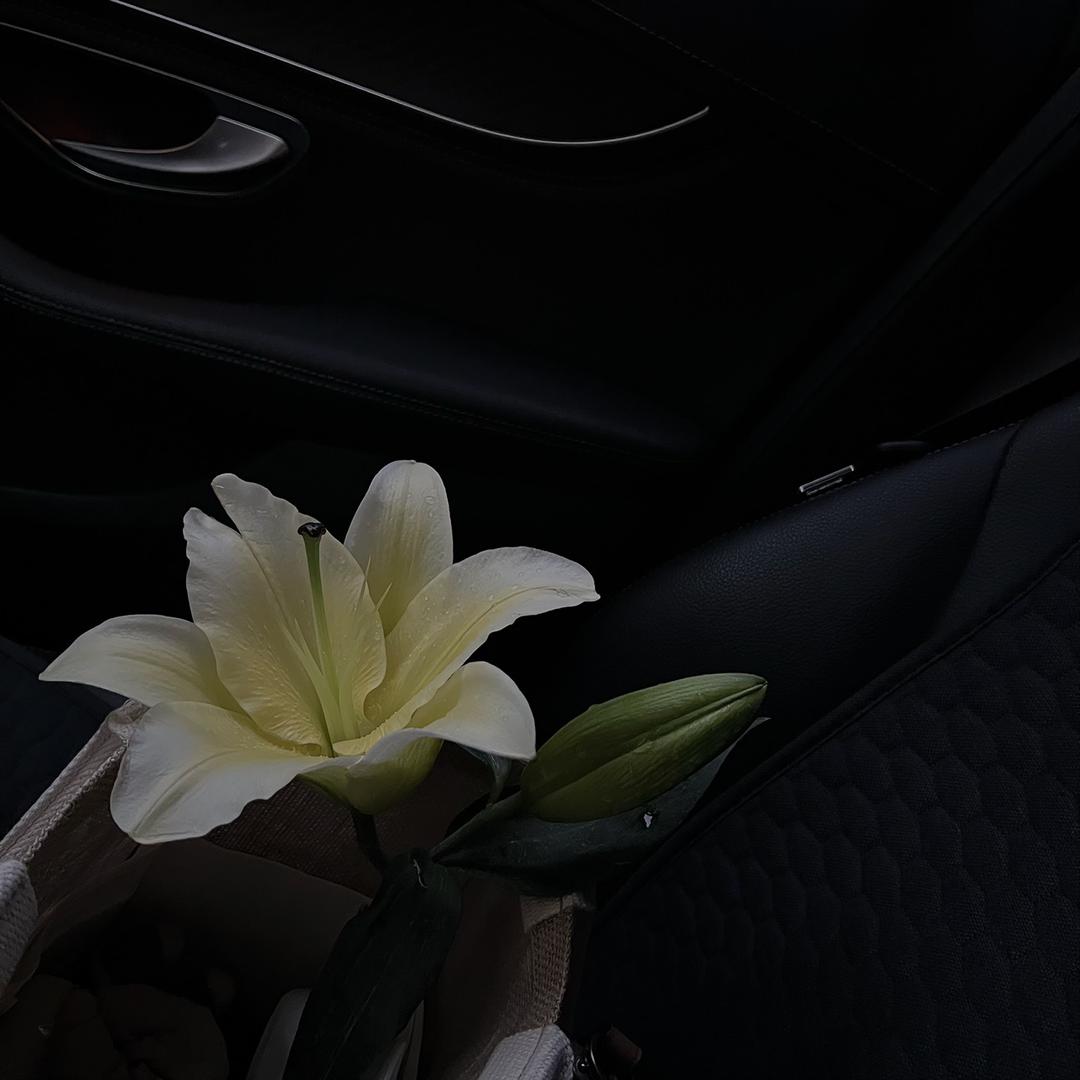 安雨涵