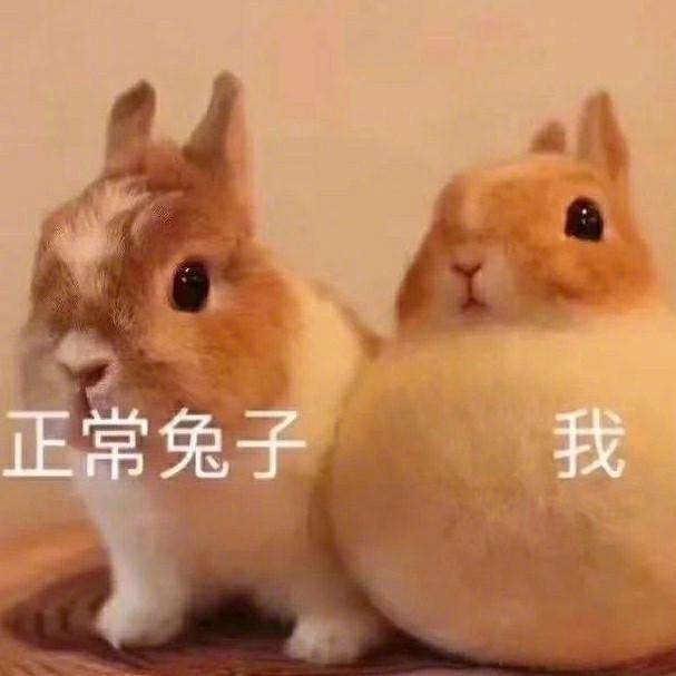 🌈大大大白兔