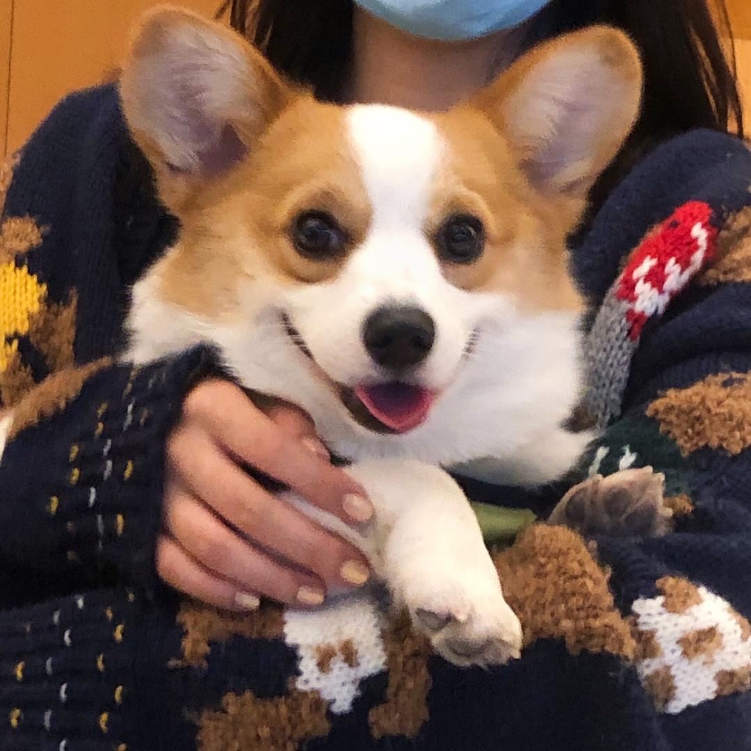 想要大长腿