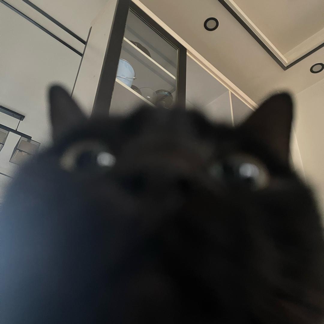 小凤啦