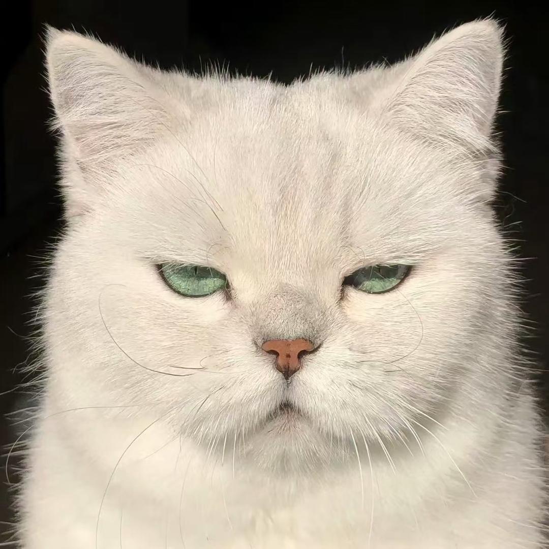 嘻