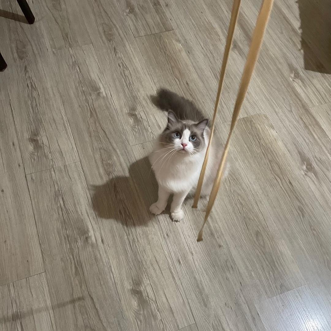 多彩头像