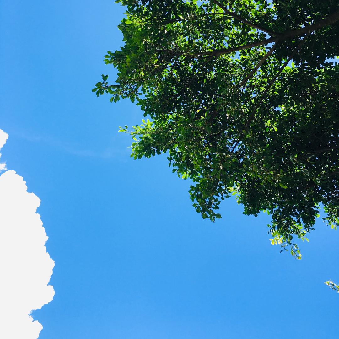 阿静（重生在小米）