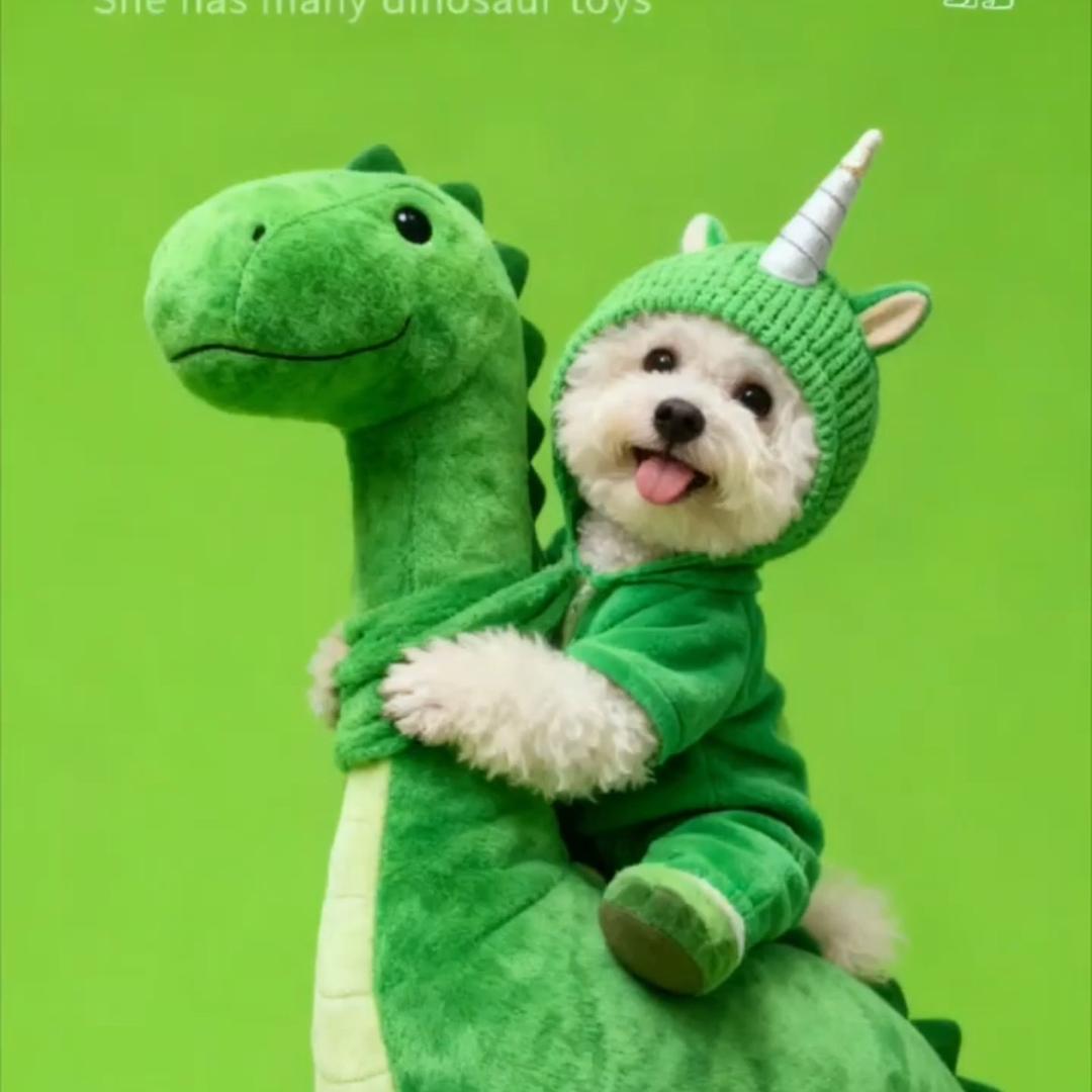 🌈奶茶是只泰迪熊🐻